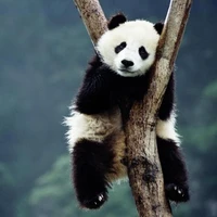 Rendong Liang's picture