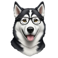 BINKM's profile picture