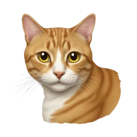 Keona Pang's profile picture