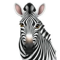 Sheila Seidel's profile picture