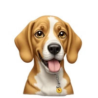 Joanna Chang's profile picture