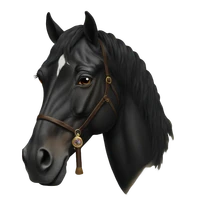 Sadid Islam's profile picture