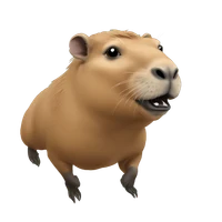 Felipe ten Caten's profile picture