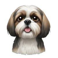 Dejan's profile picture