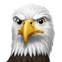 Devanshu Singh's profile picture